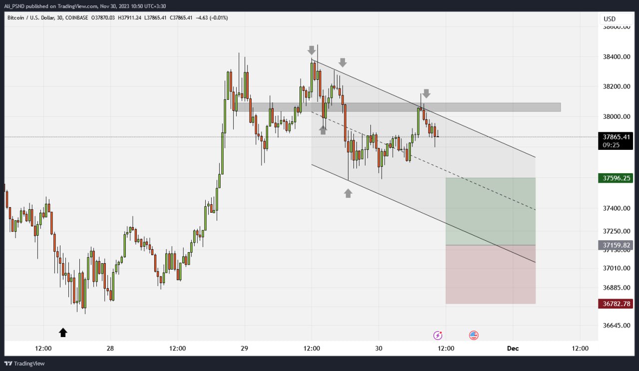 photo_1_2023-11-30_11-48-45