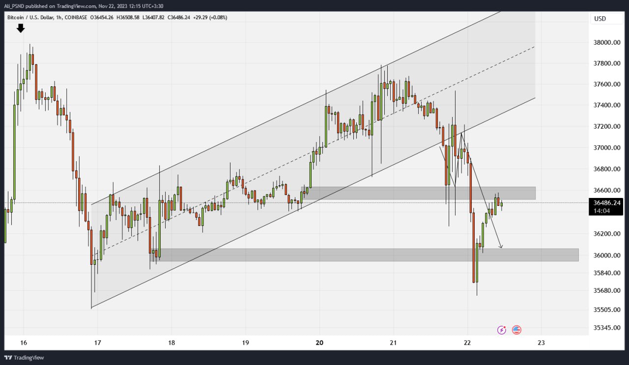 photo_2_2023-11-22_14-01-04