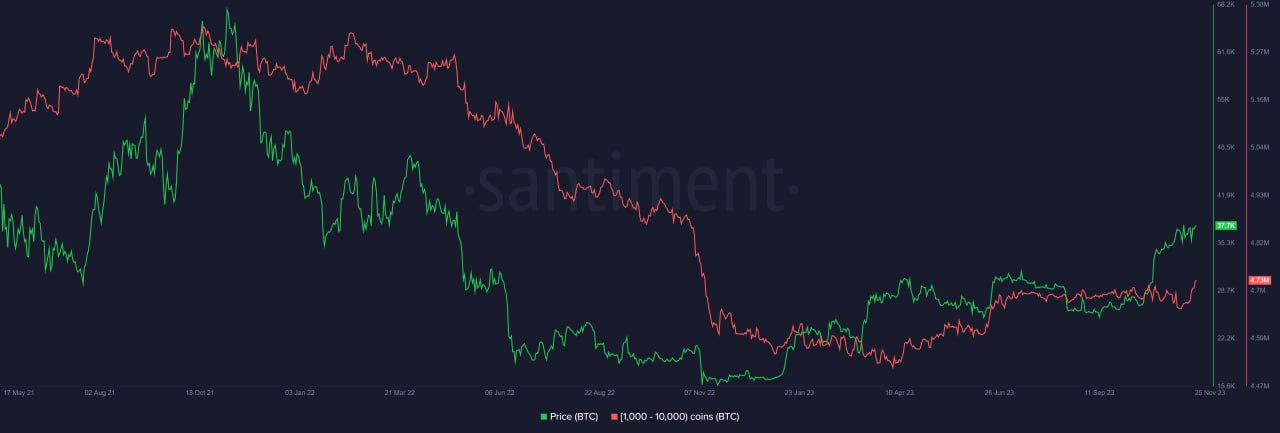 photo_2_2023-11-27_11-11-48