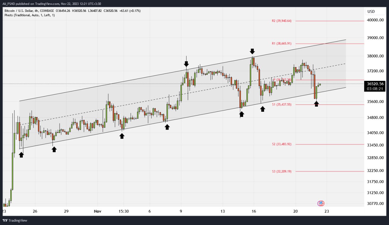 photo_3_2023-11-22_14-01-04