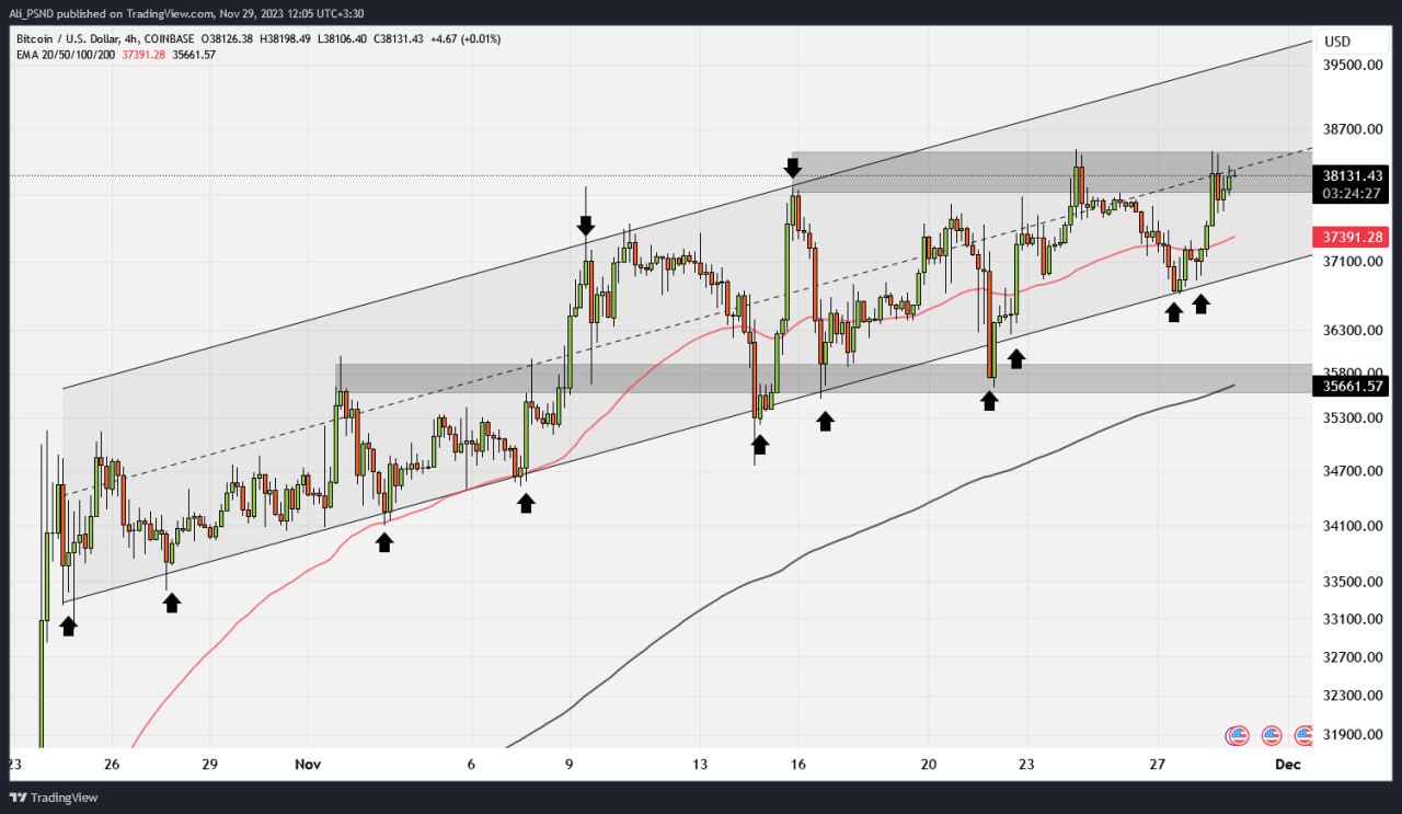 photo_3_2023-11-29_14-18-18