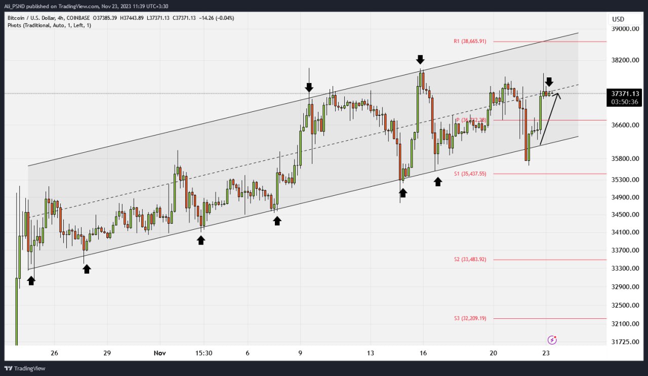 photo_4_2023-11-23_13-00-16